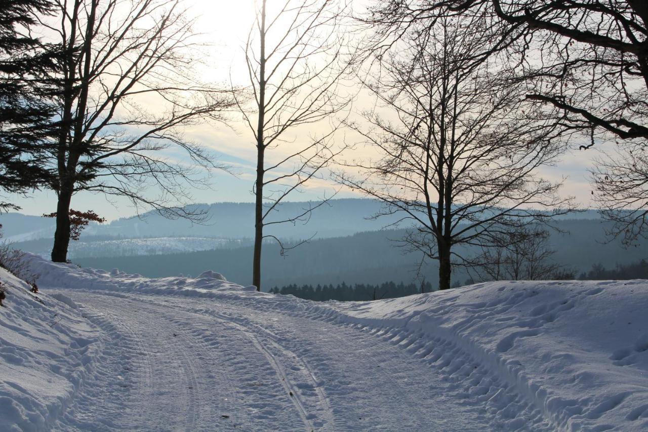 Am Ruhberg Hébergement de vacances Winterberg