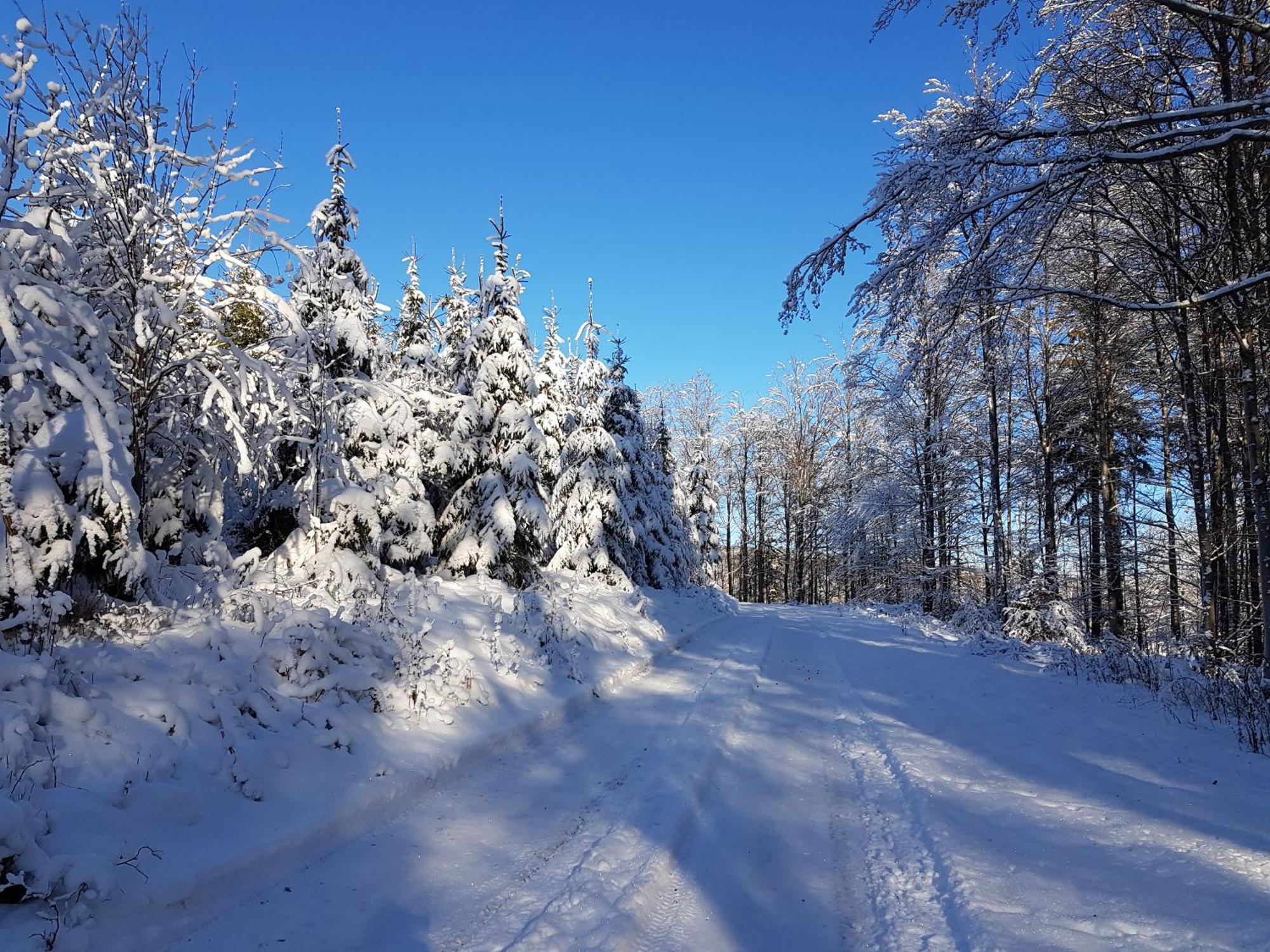 Am Ruhberg *